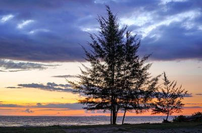 Silhouette tree by sea against sky during sunset