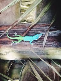 Close-up of rusty metallic structure