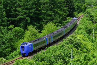 Train on railroad track in forest