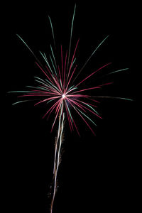 Low angle view of firework display at night