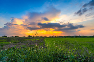 Scenic view of field against sky during sunset