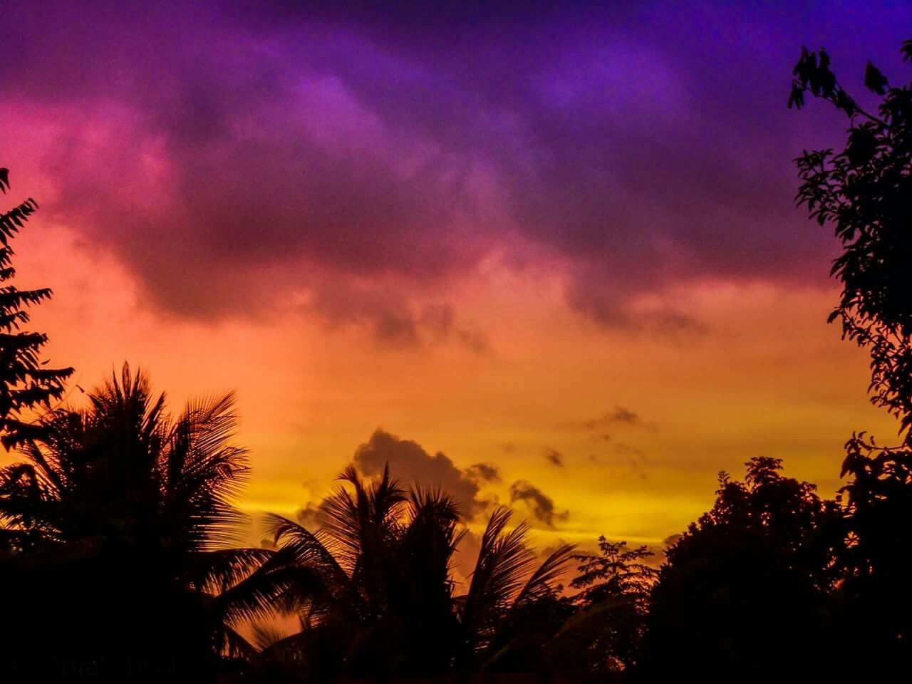 sunset, silhouette, tree, scenics, tranquil scene, tranquility, beauty in nature, sky, nature, dramatic sky, cloud - sky, orange color, growth, dark, outline, atmospheric mood, cloud, romantic sky, outdoors, majestic, calm, atmosphere, moody sky, solitude, cloudscape, storm cloud, no people, remote, multi colored