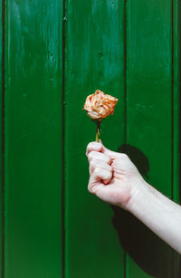 Close-up of hand holding leaf against green door