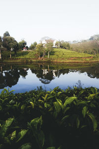 Scenic view of field by lake against sky