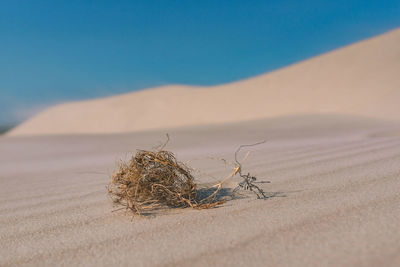 Scenic view of desert against clear sky