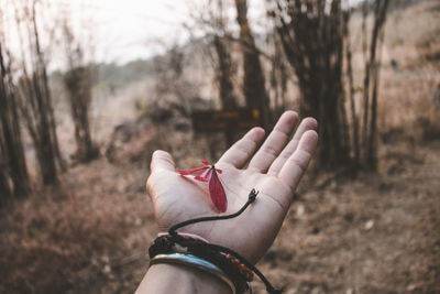 Midsection of person hand on field