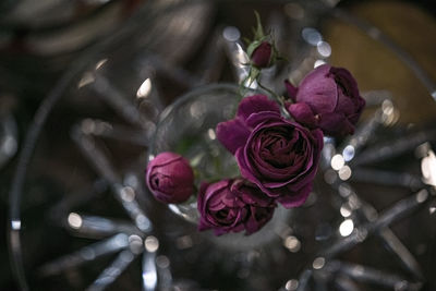 Close-up of rose bouquet