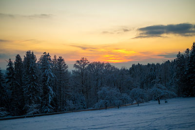 Snowy sunset