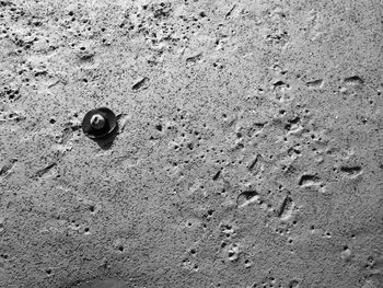 High angle view of sand on beach