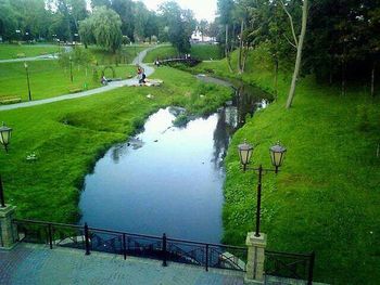 Reflection of trees in pond