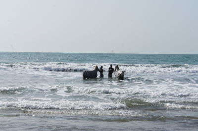 Silhouette of tourists on sea against clear sky