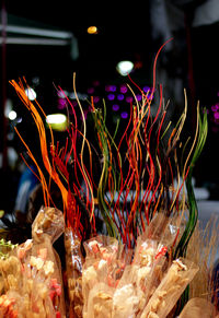 Multi colored lights