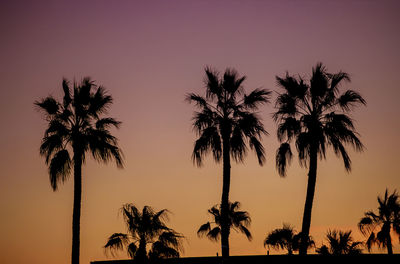 Silhouette palm trees against romantic sky at sunset