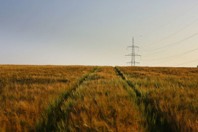 Scenic view of field against clear sky