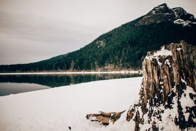 Panoramic view of snow covered landscape