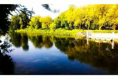 Scenic view of lake in forest against sky