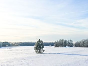 View of snow on field against sky during winter
