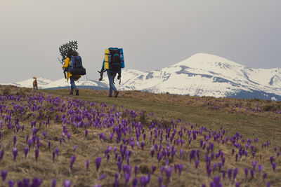 Rear view of people walking on field