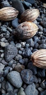 High angle view of stones on pebbles