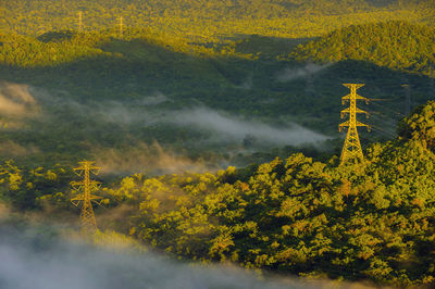 Aerial view transmission tower in green forest and beautiful morning smooth fog. 