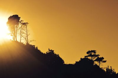 Low angle view of silhouette trees against sky during sunset