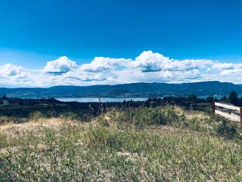 Scenic view of landscape against blue sky