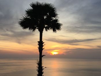 Silhouette tree against sea during sunset