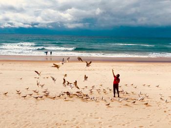 Full length of person standing amidst birds at beach against sky