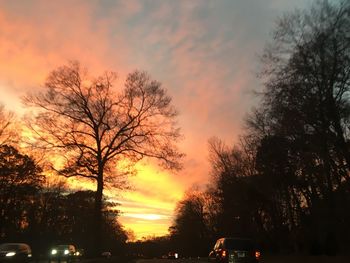 Silhouette trees against sky during sunset