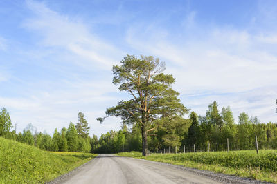 Road passing through rural landscape against blue sky