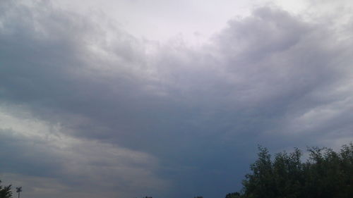 Low angle view of trees against cloudy sky