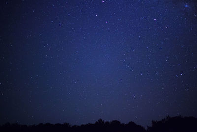 Low angle view of stars against sky at night