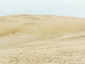 Sand dunes in desert against sky