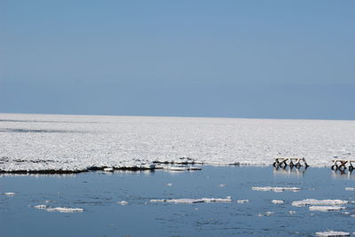 Scenic view of sea against clear sky