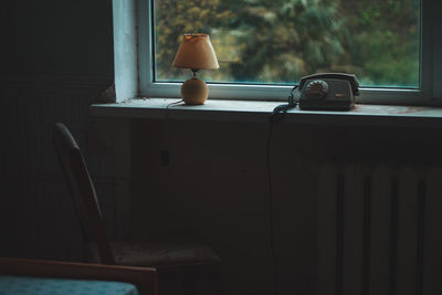 Cat on table at home