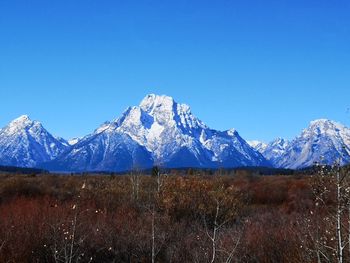 Scenic view of snowcapped mountains against clear blue sky