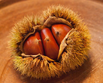 Close-up of chestnuts on table