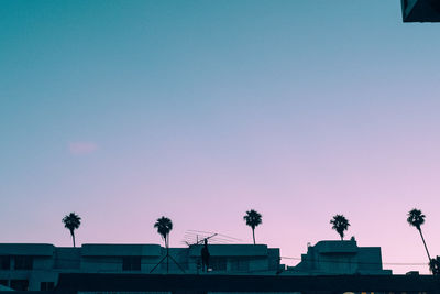 Low angle view of silhouette palm trees and buildings against clear sky
