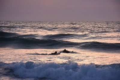 Scenic view of beach at sunset