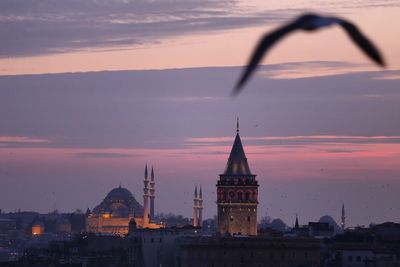 Bird flying by illuminated galata tower against sky during sunset