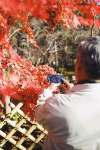 Rear view of man photographing maple tree through smart phone during autumn