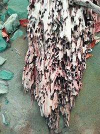 High angle view of messy for sale