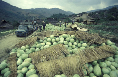 Scenic view of landscape