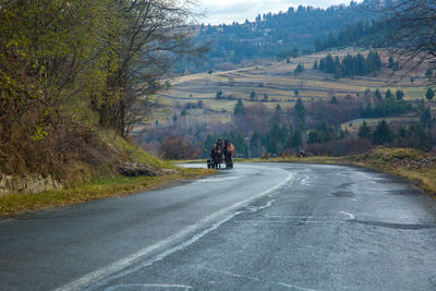 Horse cart on road