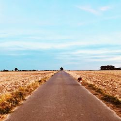 Rear view of road amidst field against sky