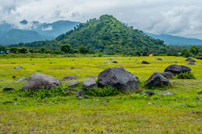 Scenic view of field against sky