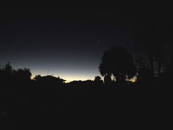 Low angle view of silhouette trees against sky at night