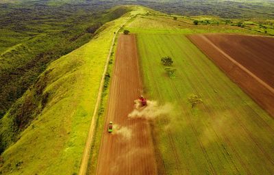 Aerial view of agricultural field