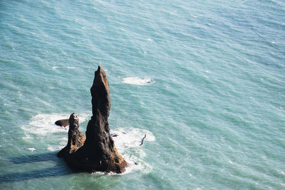 High angle view of rock in sea