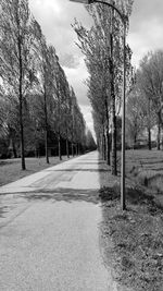 Road amidst trees against sky